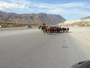 En Route in Kyrgyzstan